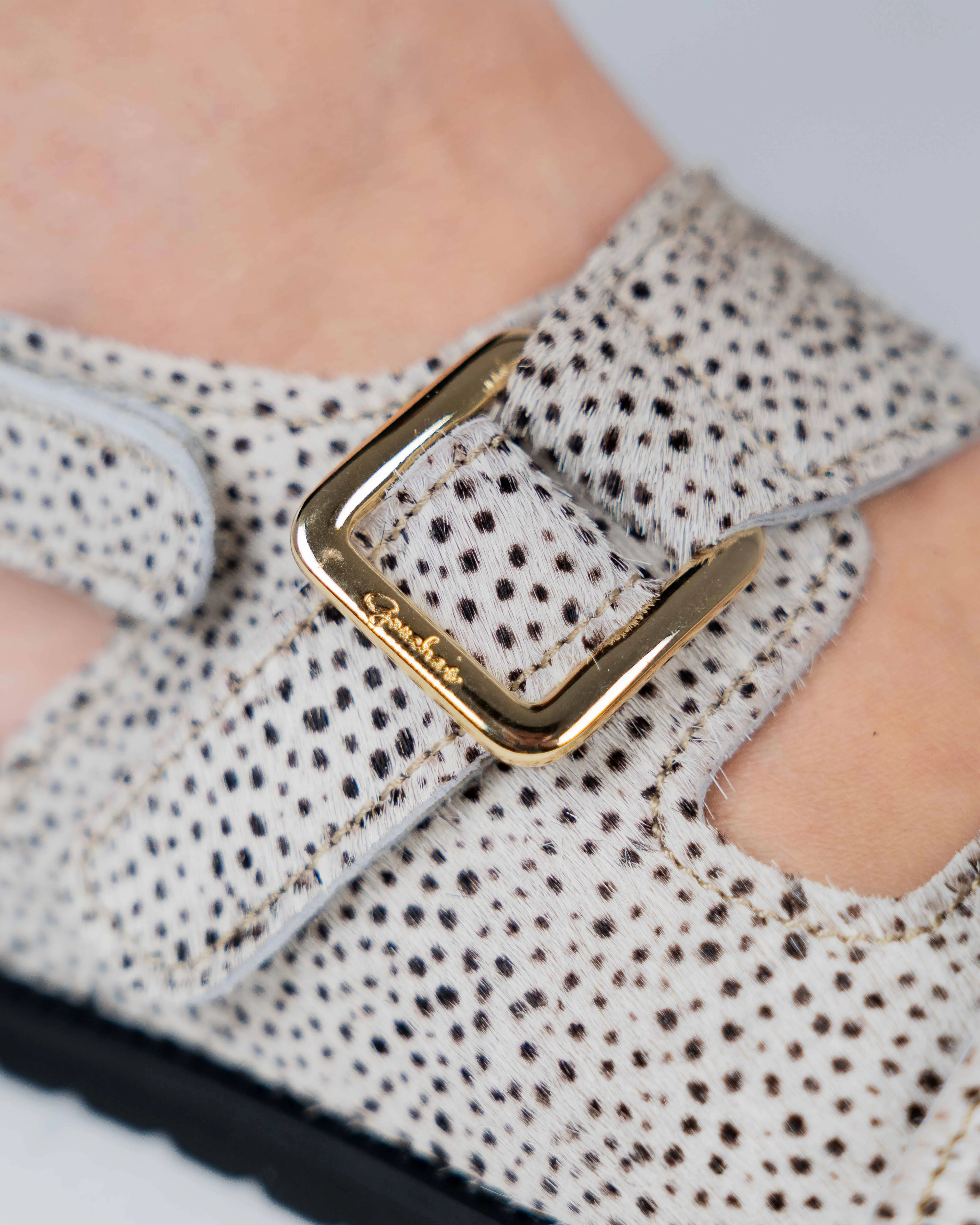 Dalmatian Diamond