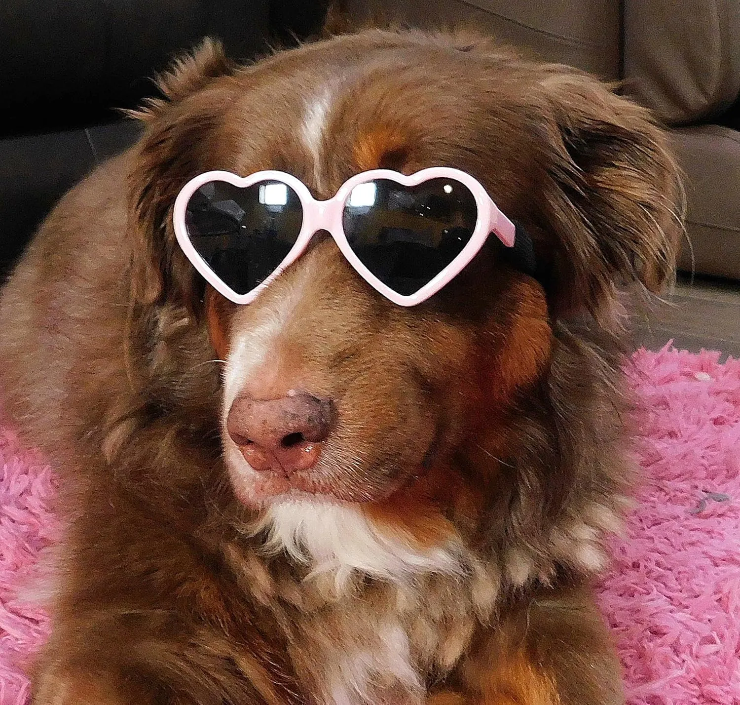 G012 Dog Pet Costume Prop Sunglasses Heart Shape Medium Breeds 20lb-40lbs (2-Pack Red   Pink)
